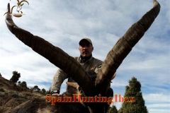 ibex hunt spain