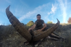 ibex hunt spain