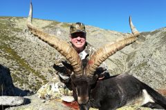 1_gredos-ibex