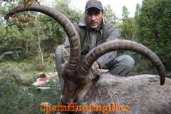 hunting in spain