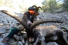 ibex grand slam