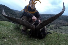 spanish ibex  grand slam