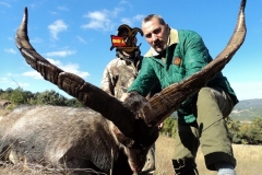 spain hunting ibex