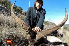 spain hunting ibex