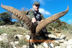 spain hunting ibex