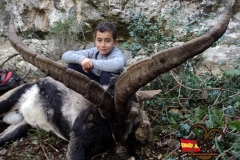 spain hunting ibex