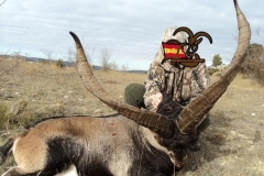 spain hunting ibex