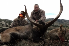 spain hunting ibex