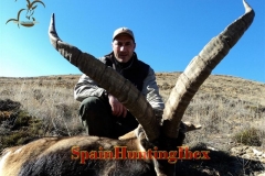 hunt trip spain