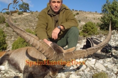 spain hunting ibex