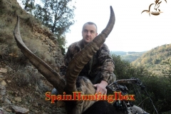 spain hunting ibex