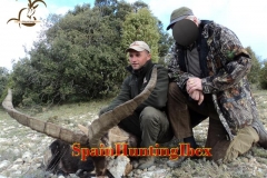 spain hunting ibex