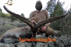 spain hunting ibex