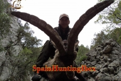 spain hunting ibex