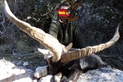 hunt trip spain