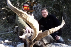 ibex hunting in spain