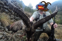 spain hunting ibex