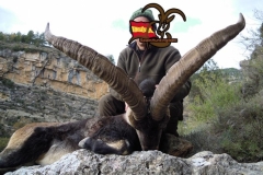 spain hunting ibex