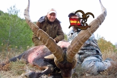 spain hunting ibex