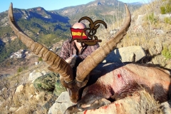 spain hunting ibex