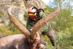 spanish ibex  grand slam