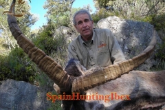 spain hunting ibex