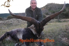 spain hunting ibex