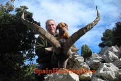 spain hunting ibex