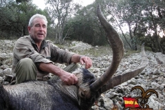 ibex hunt spain