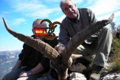 ibex hunt spain