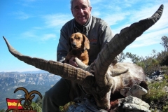 ibex hunt spain