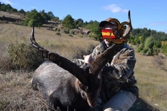 ibex hunt spain