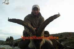 spain hunting ibex