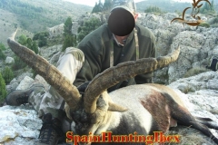 ibex hunt spain