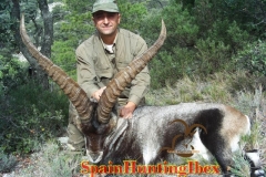 ibex hunt spain