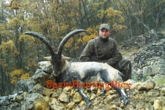 ibex hunt spain