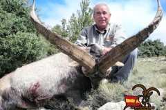 ibex hunt spain