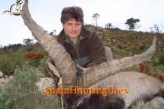 ibex hunt spain