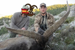 beceite ibex