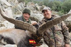 spain hunting ibex