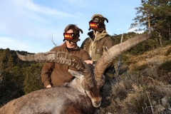 ibex hunting in spain