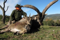 spain hunting ibex