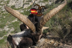 grand slam ibex