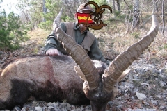 ibex hunting in spain