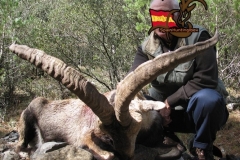 ibex grand slam