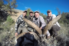 ibex hunt spain