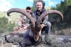 beceite-ibex10