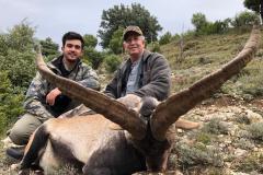 beceite-ibex12