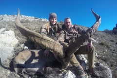 ibex hunt spain