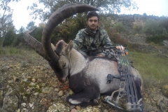 grand slam ibex